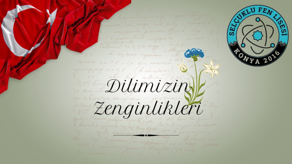 DİLİMİZİN ZENGİNLİKLERİ